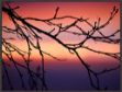 Picture of Abstract Sunset II by Savanah Plank