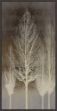 Picture of Trees On Brown Panel II by Kate Bennett