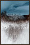 Picture of Lentic Dream II by Roy Hoh - Walnut Frame