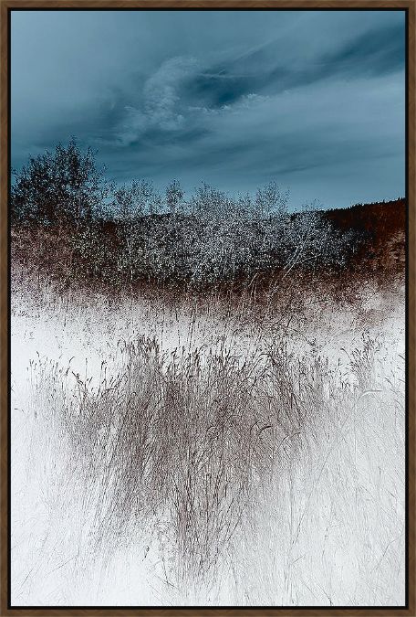 Picture of Lentic Dream II by Roy Hoh - Walnut Frame